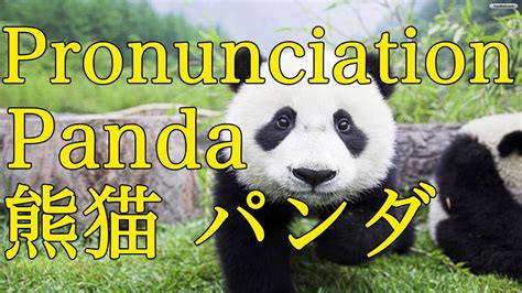 panda pronunciation